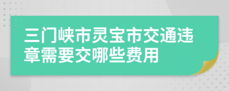 三门峡市灵宝市交通违章需要交哪些费用