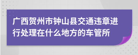 广西贺州市钟山县交通违章进行处理在什么地方的车管所