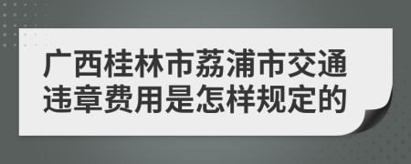 广西桂林市荔浦市交通违章费用是怎样规定的