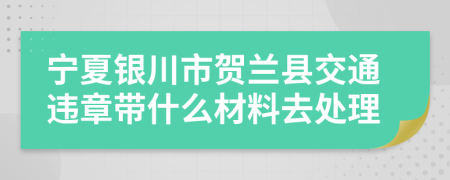 宁夏银川市贺兰县交通违章带什么材料去处理