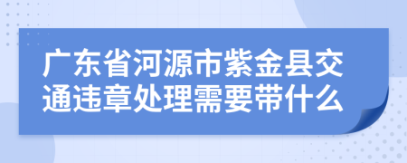 广东省河源市紫金县交通违章处理需要带什么