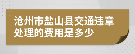 沧州市盐山县交通违章处理的费用是多少