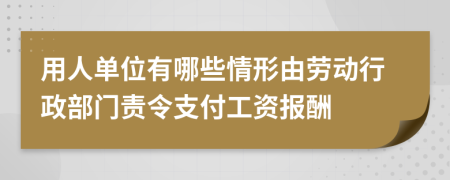 用人单位有哪些情形由劳动行政部门责令支付工资报酬