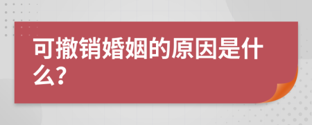 可撤销婚姻的原因是什么？