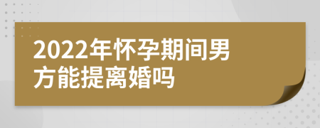 2022年怀孕期间男方能提离婚吗