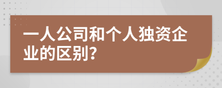 一人公司和个人独资企业的区别？