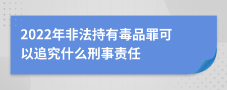 2022年非法持有毒品罪可以追究什么刑事责任