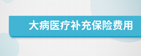 大病医疗补充保险费用