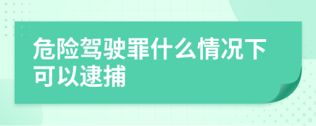 危险驾驶罪什么情况下可以逮捕