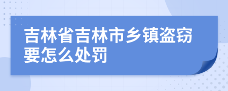 吉林省吉林市乡镇盗窃要怎么处罚