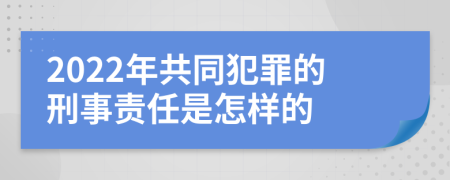 2022年共同犯罪的刑事责任是怎样的