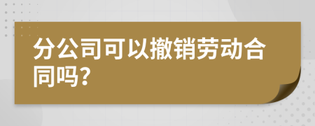 分公司可以撤销劳动合同吗？