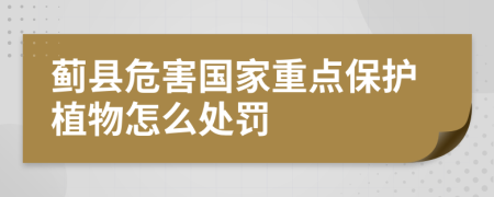 蓟县危害国家重点保护植物怎么处罚