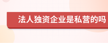 法人独资企业是私营的吗