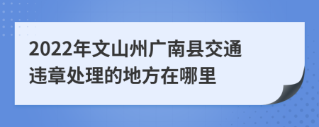 2022年文山州广南县交通违章处理的地方在哪里