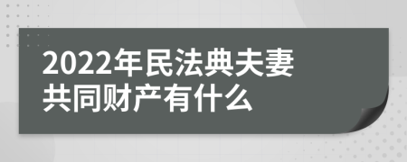 2022年民法典夫妻共同财产有什么