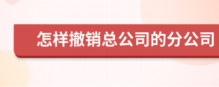 怎样撤销总公司的分公司