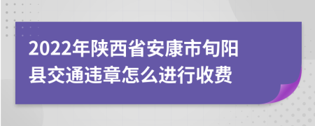 2022年陕西省安康市旬阳县交通违章怎么进行收费