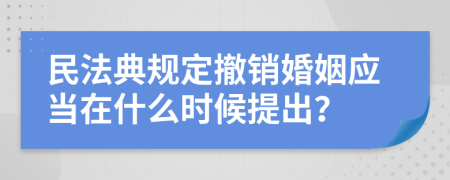 民法典规定撤销婚姻应当在什么时候提出？