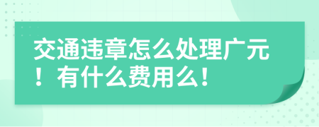 交通违章怎么处理广元！有什么费用么！