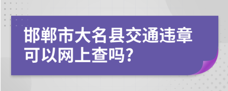 邯郸市大名县交通违章可以网上查吗?