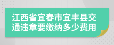 江西省宜春市宜丰县交通违章要缴纳多少费用