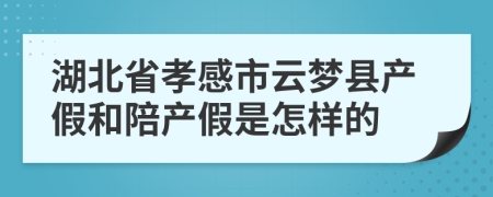 湖北省孝感市云梦县产假和陪产假是怎样的