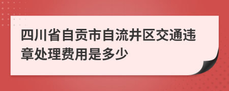 四川省自贡市自流井区交通违章处理费用是多少