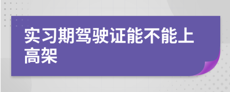 实习期驾驶证能不能上高架