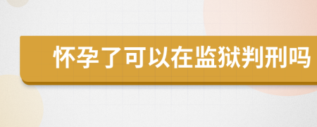 怀孕了可以在监狱判刑吗
