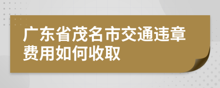 广东省茂名市交通违章费用如何收取