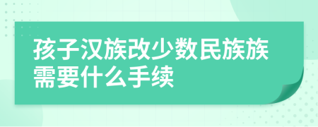 孩子汉族改少数民族族需要什么手续