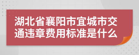 湖北省襄阳市宜城市交通违章费用标准是什么