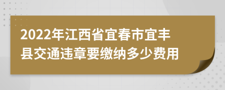 2022年江西省宜春市宜丰县交通违章要缴纳多少费用