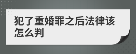 犯了重婚罪之后法律该怎么判