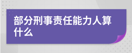 部分刑事责任能力人算什么