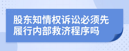 股东知情权诉讼必须先履行内部救济程序吗