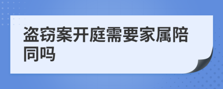 盗窃案开庭需要家属陪同吗
