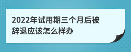 2022年试用期三个月后被辞退应该怎么样办
