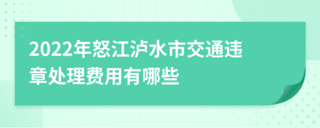 2022年怒江泸水市交通违章处理费用有哪些