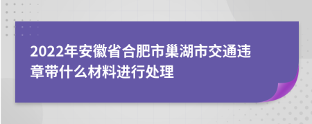 2022年安徽省合肥市巢湖市交通违章带什么材料进行处理