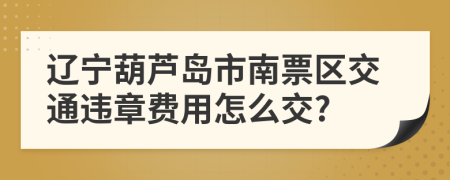 辽宁葫芦岛市南票区交通违章费用怎么交?