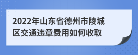 2022年山东省德州市陵城区交通违章费用如何收取