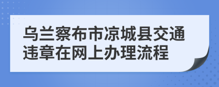 乌兰察布市凉城县交通违章在网上办理流程