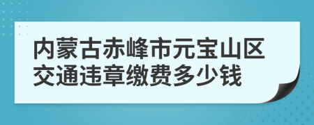 内蒙古赤峰市元宝山区交通违章缴费多少钱