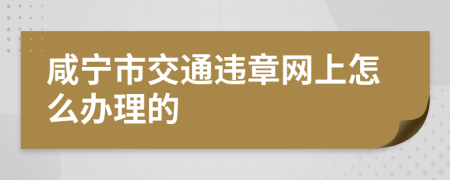 咸宁市交通违章网上怎么办理的