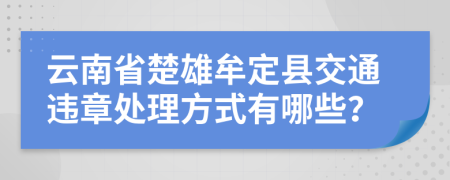云南省楚雄牟定县交通违章处理方式有哪些？