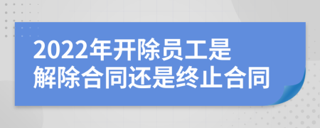 2022年开除员工是解除合同还是终止合同