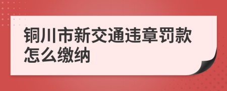 铜川市新交通违章罚款怎么缴纳