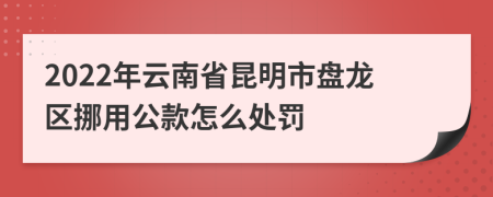 2022年云南省昆明市盘龙区挪用公款怎么处罚